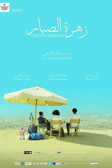 仙人掌之花 下载