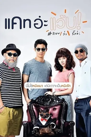 擅离职守的猫咪 下载