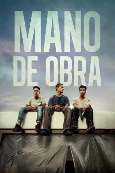 造房子的人 下载