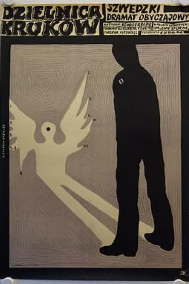 乌鸦住宅区 下载