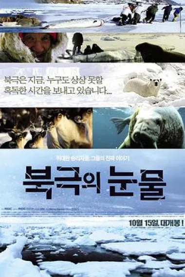 北极的眼泪 下载