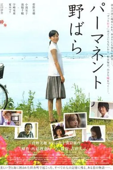 常开野蔷薇 下载