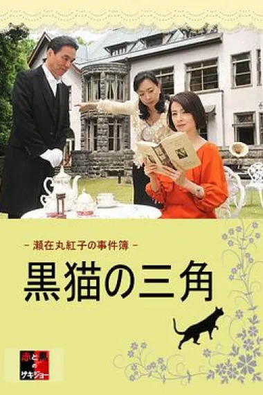 濑在丸红子的事件簿:黑猫的三角 下载