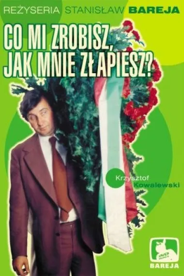 抓到我之后你会做啥 下载