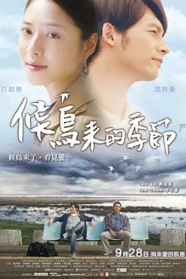 候鸟来的季节 下载