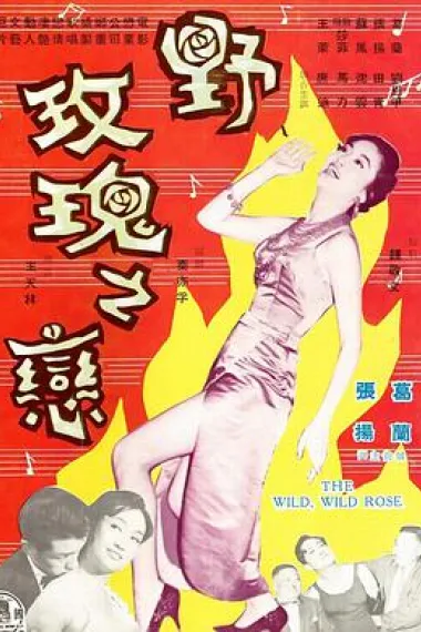 野玫瑰之恋 下载