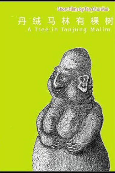 丹绒马林有棵树 下载