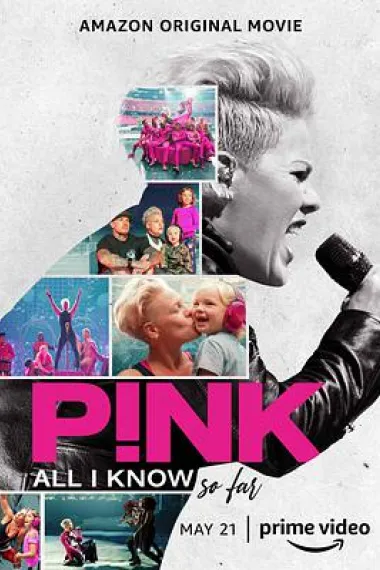 P!NK：我所知道的一切 2160P 4K 下载