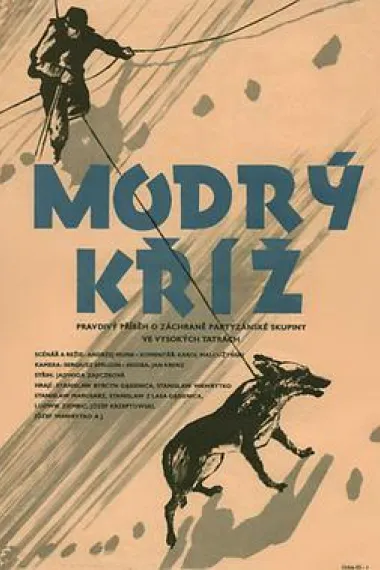 蓝十字勇士 下载