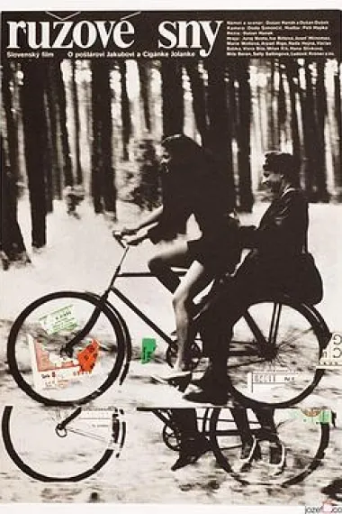 玫瑰色的梦 下载