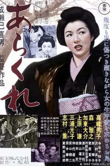 野性的女人 下载