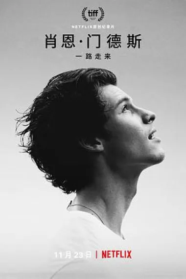 肖恩·门德斯：一路走来 下载