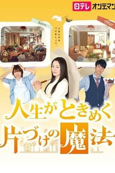 怦然心动的人生整理魔法 下载