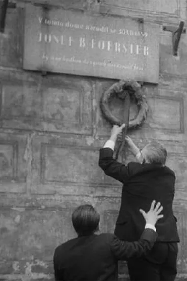 我们的费尔斯特先生去世了 下载