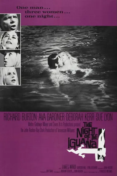 巫山风雨夜 下载