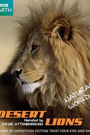 自然世界:沙漠狮 下载