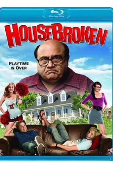 分家总动员 下载