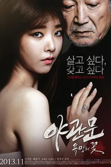 夜关门:欲望之花 下载