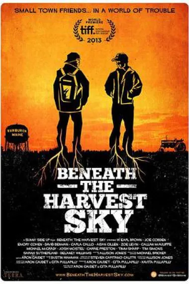 收获的天空下 下载