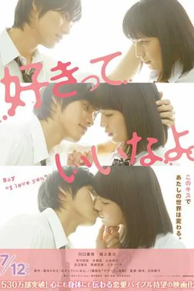 只要你说你爱我 下载