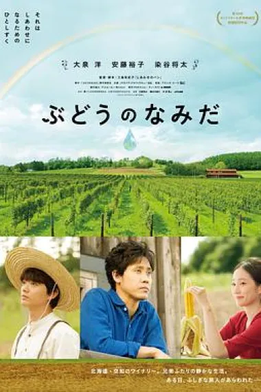 葡萄的眼泪 下载