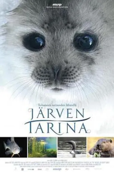 湖泊的传说 下载