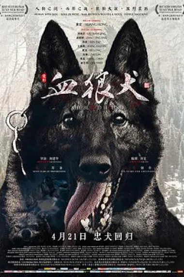 血狼犬 2160P 4K 下载