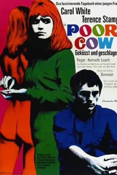 可怜的母牛 下载