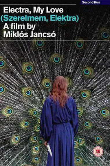 伊莱克特拉,我的爱 下载