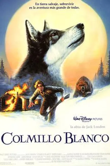 雪地黄金犬 下载