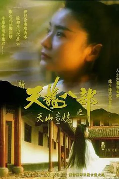 新天龙八部之天山童姥 2160P 4K 下载