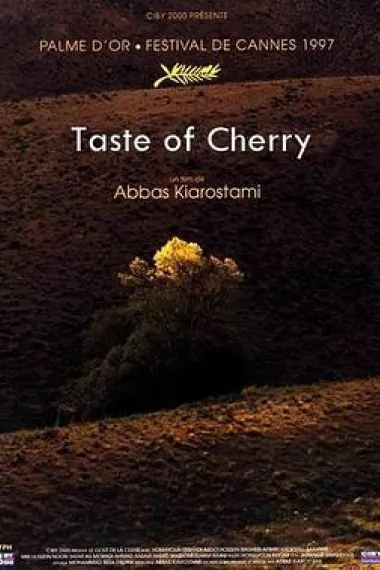 樱桃的滋味 下载