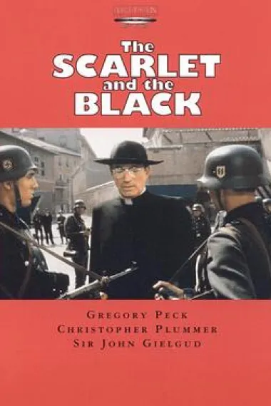 红袍与黑幕 下载