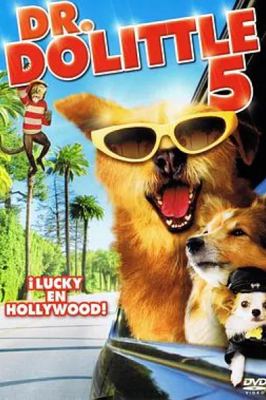 怪医杜立德5：百万傻蛋 下载