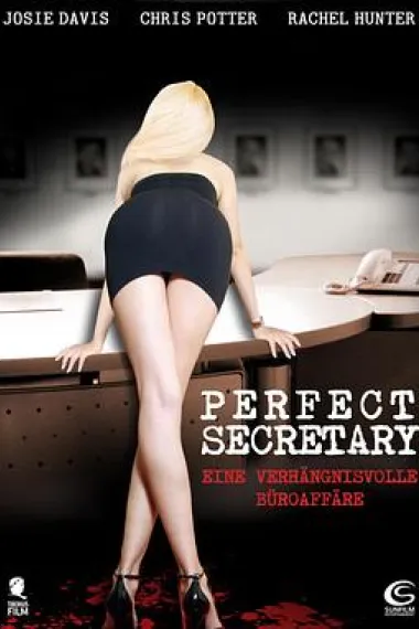 完美的助理 下载