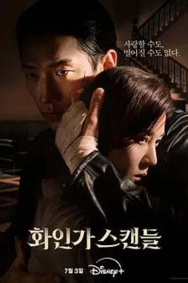 红天鹅 2160P 4K 下载