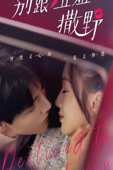 别跟姐姐撒野 2160P 4K 下载