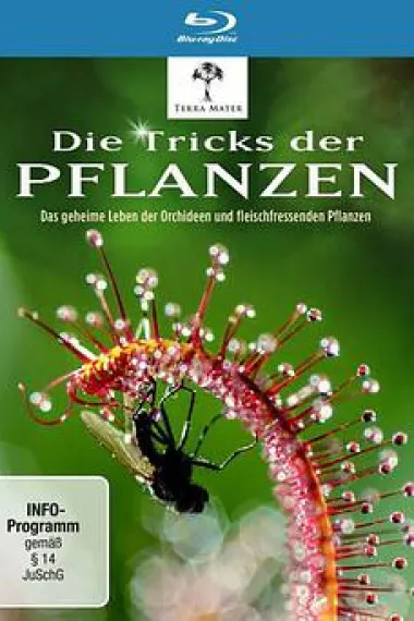 植物的秘密武器 下载