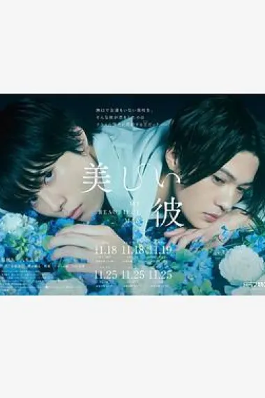 美丽的他 下载