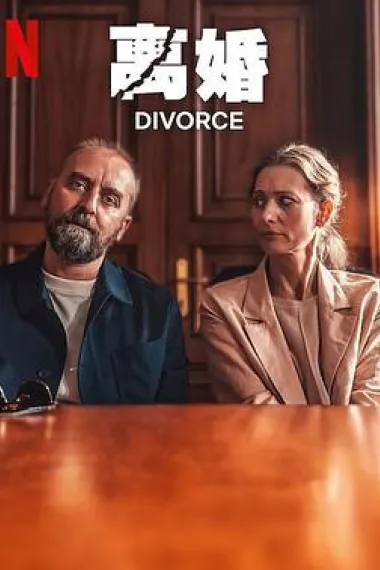 离婚 2160P 4K 下载