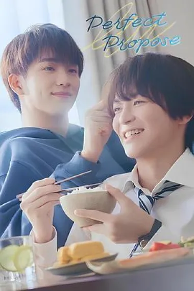 完美求婚 下载