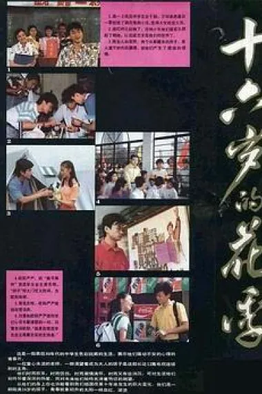十六岁的花季 下载