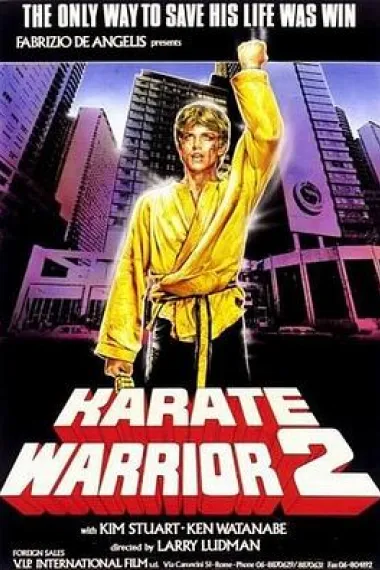 空手道少年2 下载