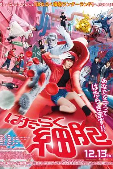 工作细胞 真人版 下载