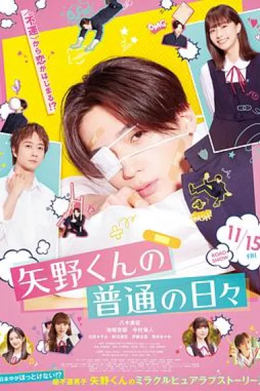 矢野同学的普通日常 下载