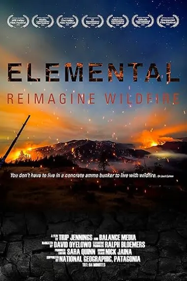 美国大火 2160P 4K 下载