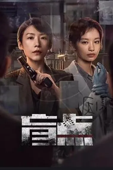 盲点 2160P 4K 下载