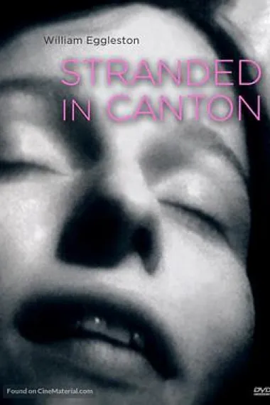 搁浅在小镇 下载