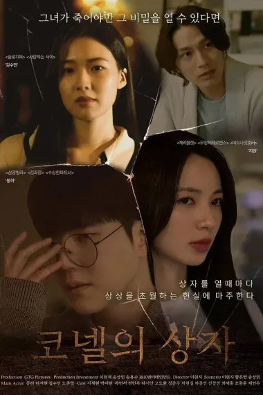 康奈尔之盒 下载