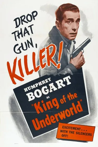 地下世界之王 下载